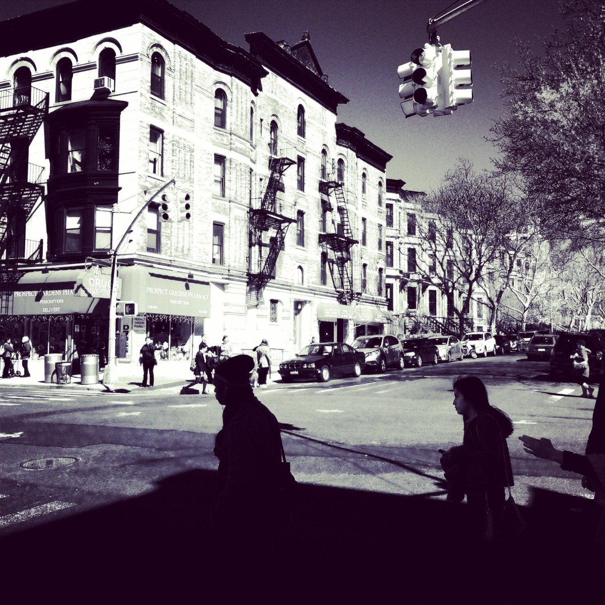  : random observations : Gary Nolton - Photographer / Cinematographer 